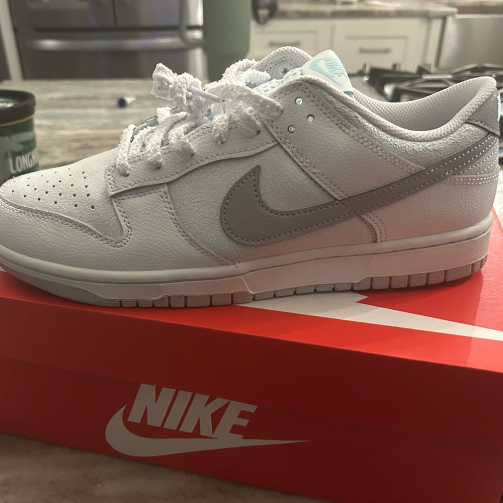 Men’s Nike dunk low retro